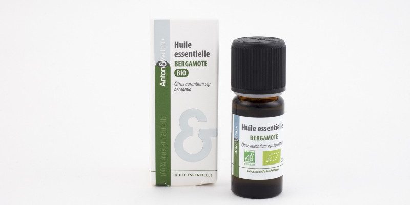 Tisane framboisier
