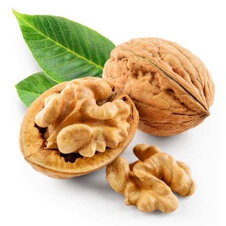 Noyer (Juglans regia)