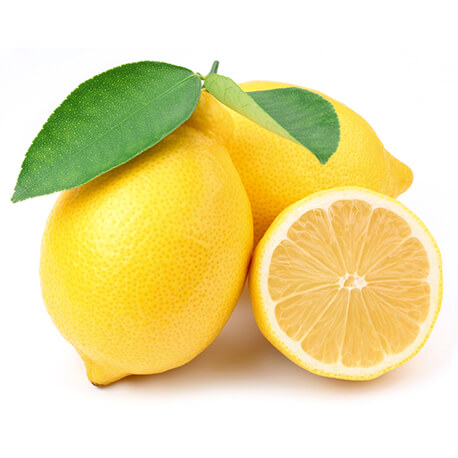 Citronnier (Citrus limonum)